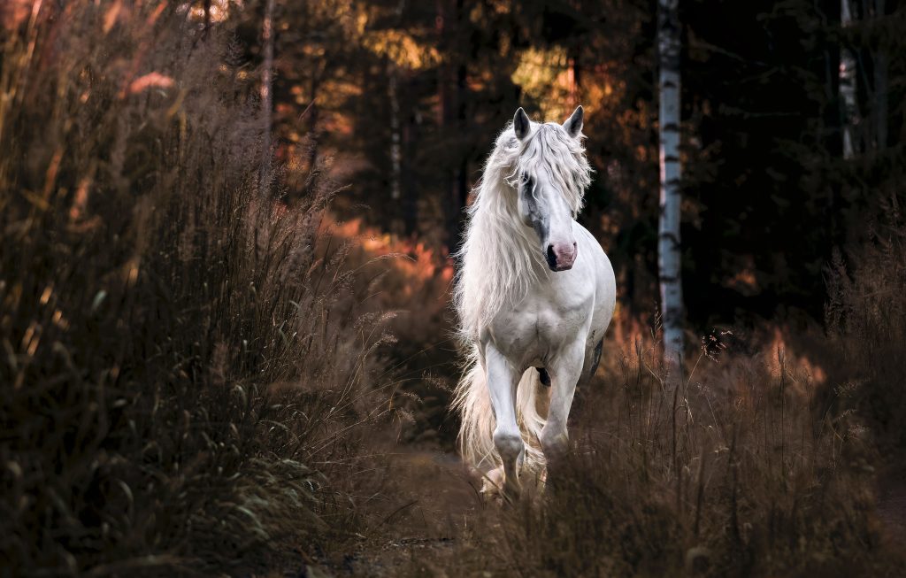 One Magic Moment Henna Ikonen